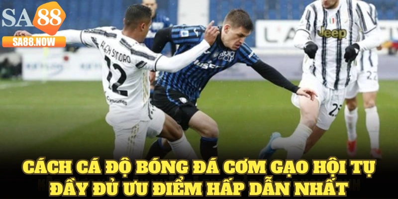 Cách cá độ bóng đá cơm gạo hội tụ đầy đủ ưu điểm hấp dẫn nhất Cách cá độ bóng đá cơm gạo hội tụ đầy đủ ưu điểm hấp dẫn nhất