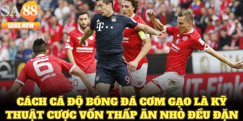 Cách cá độ bóng đá cơm gạo là kỹ thuật cược vốn thấp ăn nhỏ đều đặn Cách cá độ bóng đá cơm gạo là kỹ thuật cược vốn thấp ăn nhỏ đều đặn