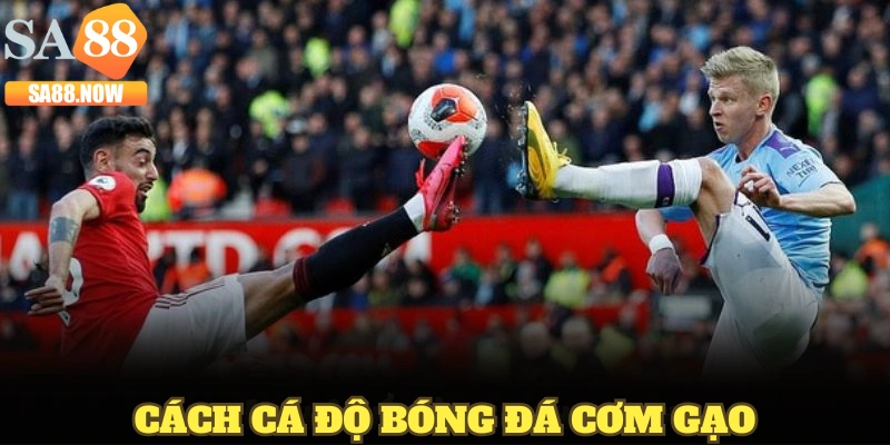 cach-ca-do-bong-da-com-gao